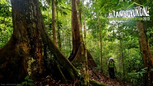 Mount Tambuyukon Expedition  